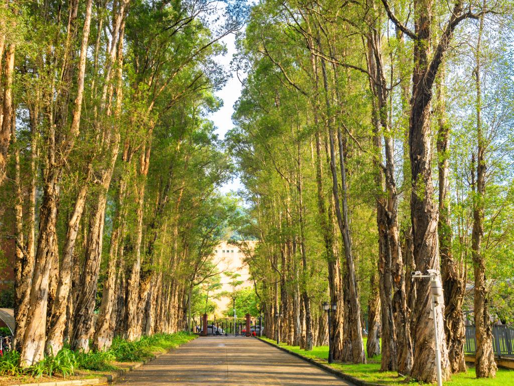 微信圖片_20250226143652.jpg 微信圖片_20250226143652.jpg